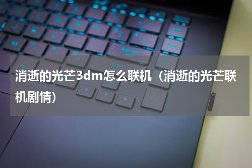 消逝的光芒3dm怎么联机（消逝的光芒联机剧情）