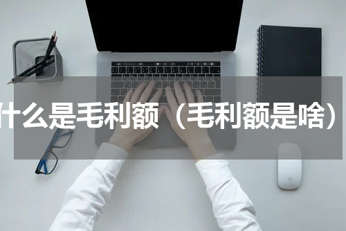 什么是毛利额（毛利额是啥）