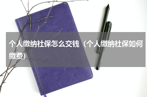 个人缴纳社保怎么交钱（个人缴纳社保如何缴费）
