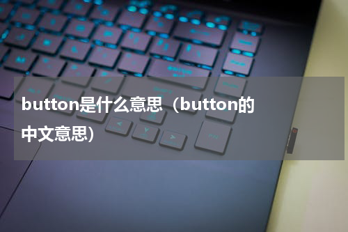 button是什么意思（button的中文意思）