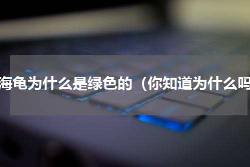 绿海龟为什么是绿色的（你知道为什么吗）