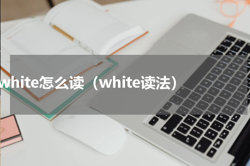 white怎么读（white读法）