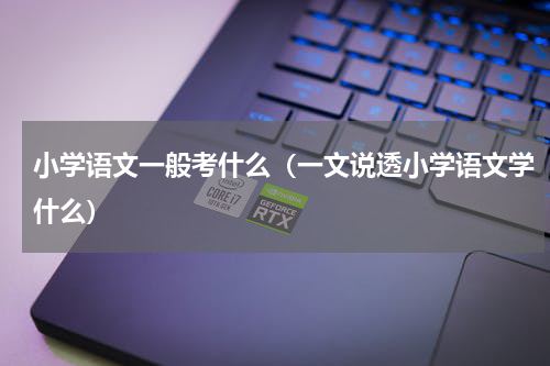 小学语文一般考什么（一文说透小学语文学什么）