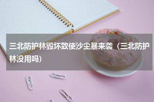三北防护林毁坏致使沙尘暴来袭（三北防护林没用吗）