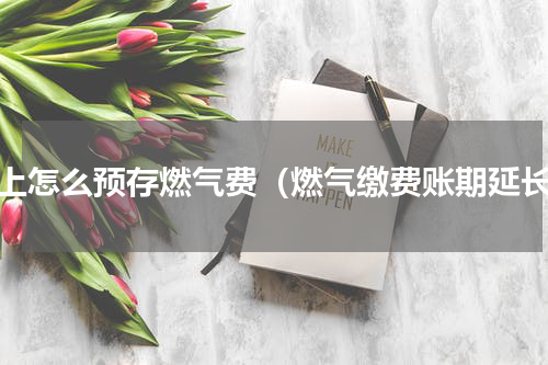 网上怎么预存燃气费（燃气缴费账期延长）