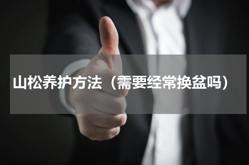 山松养护方法（需要经常换盆吗）