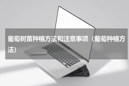 葡萄树苗种植方法和注意事项（葡萄种植方法）