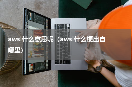 awsl什么意思呢（awsl什么梗出自哪里）