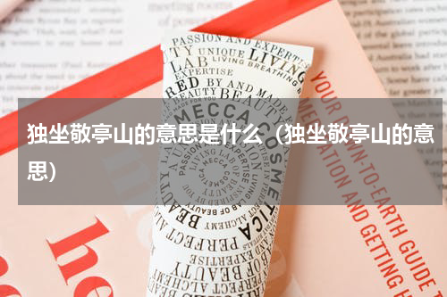 独坐敬亭山的意思是什么（独坐敬亭山的意思）