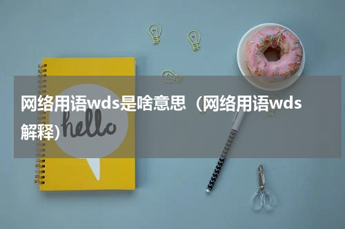 网络用语wds是啥意思（网络用语wds解释）