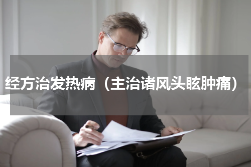 经方治发热病（主治诸风头眩肿痛）