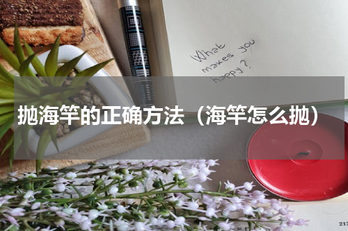 抛海竿的正确方法（海竿怎么抛）