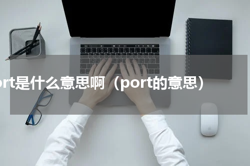 port是什么意思啊（port的意思）