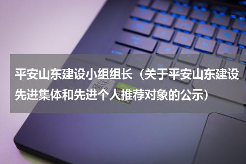 平安山东建设小组组长（关于平安山东建设先进集体和先进个人推荐对象的公示）