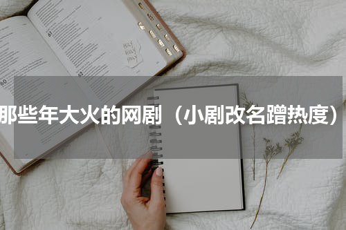 那些年大火的网剧（小剧改名蹭热度）
