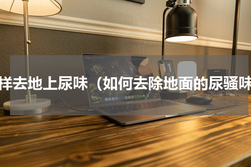 怎样去地上尿味（如何去除地面的尿骚味）