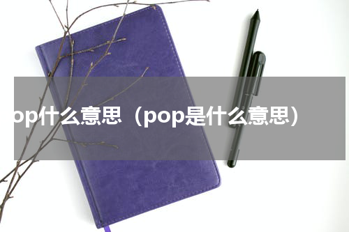 pop什么意思（pop是什么意思）