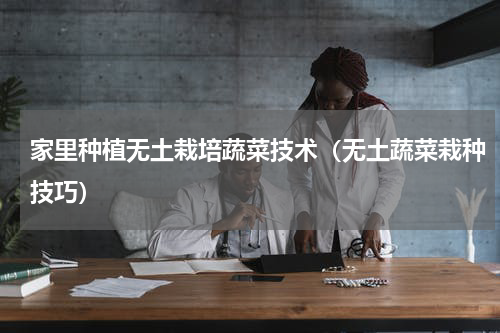 家里种植无土栽培蔬菜技术（无土蔬菜栽种技巧）