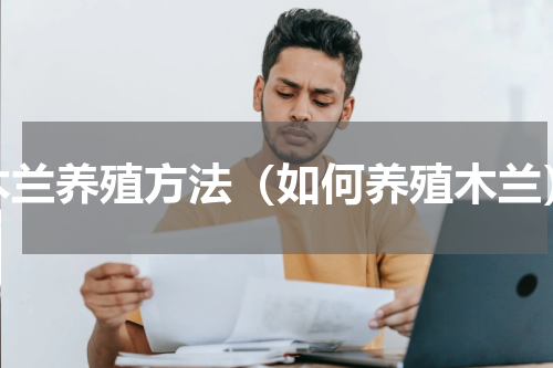 木兰养殖方法（如何养殖木兰）