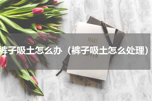 裤子吸土怎么办（裤子吸土怎么处理）
