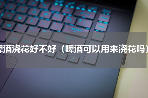 啤酒浇花好不好（啤酒可以用来浇花吗）