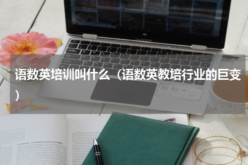 语数英培训叫什么（语数英教培行业的巨变）