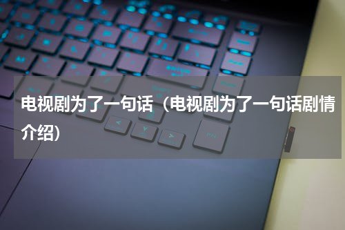 电视剧为了一句话（电视剧为了一句话剧情介绍）