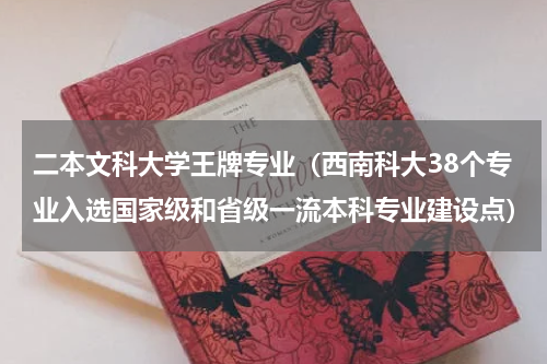二本文科大学王牌专业（西南科大38个专业入选国家级和省级一流本科专业建设点）