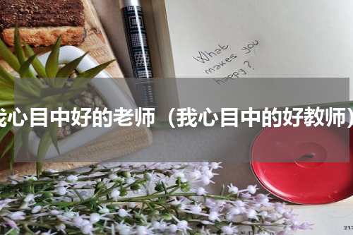 我心目中好的老师（我心目中的好教师）