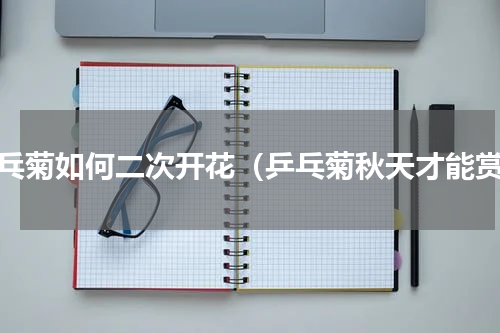 乒乓菊如何二次开花（乒乓菊秋天才能赏）