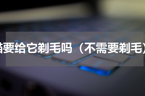 猫要给它剃毛吗（不需要剃毛）