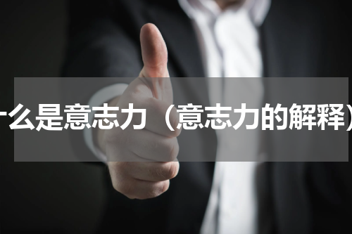 什么是意志力（意志力的解释）
