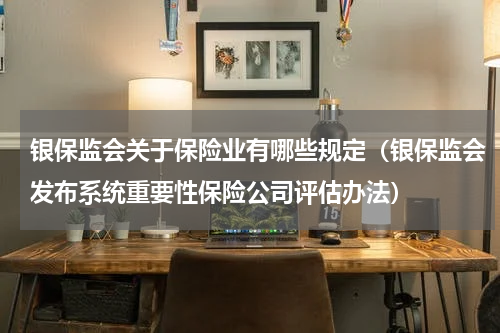 银保监会关于保险业有哪些规定（银保监会发布系统重要性保险公司评估办法）