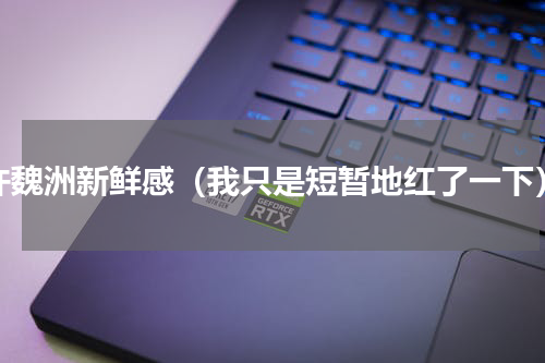 许魏洲新鲜感（我只是短暂地红了一下）