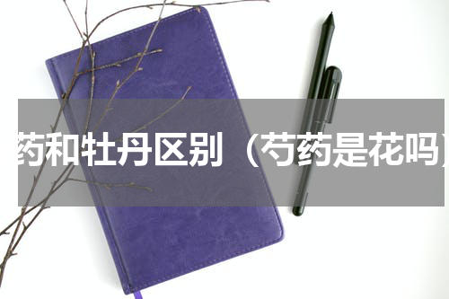 芍药和牡丹区别（芍药是花吗）