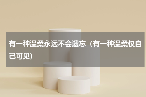 有一种温柔永远不会遗忘（有一种温柔仅自己可见）