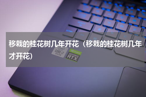 移栽的桂花树几年开花（移栽的桂花树几年才开花）