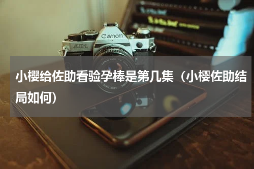 小樱给佐助看验孕棒是第几集（小樱佐助结局如何）