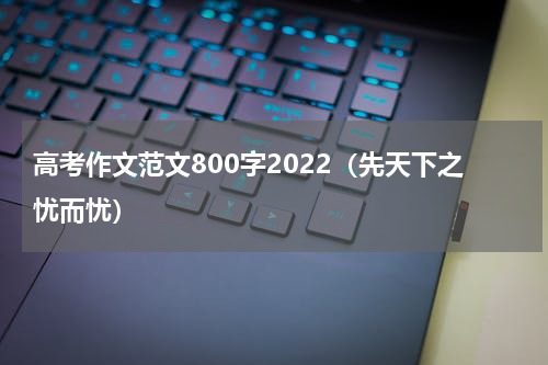 高考作文范文800字2022（先天下之忧而忧）