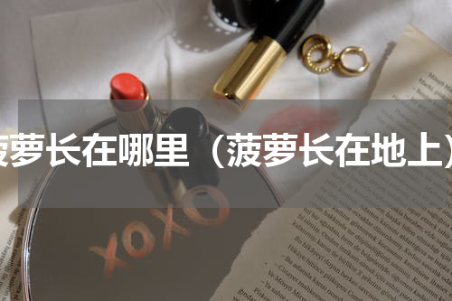 菠萝长在哪里（菠萝长在地上）