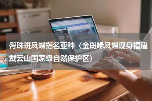 臀珠斑凤蝶指名亚种（金斑喙凤蝶现身福建戴云山国家级自然保护区）