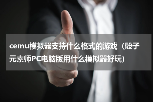 cemu模拟器支持什么格式的游戏（骰子元素师PC电脑版用什么模拟器好玩）