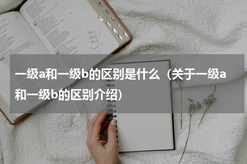 一级a和一级b的区别是什么（关于一级a和一级b的区别介绍）