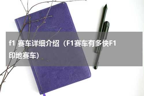 f1 赛车详细介绍（F1赛车有多快F1印地赛车）
