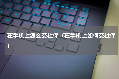 在手机上怎么交社保（在手机上如何交社保）