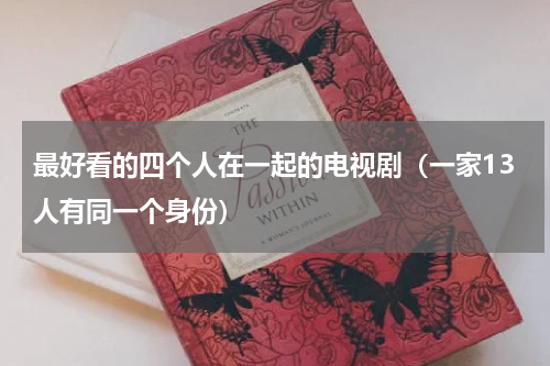 最好看的四个人在一起的电视剧（一家13人有同一个身份）