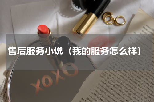 售后服务小说（我的服务怎么样）