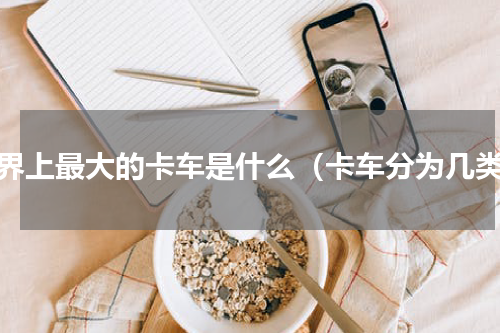 世界上最大的卡车是什么（卡车分为几类）