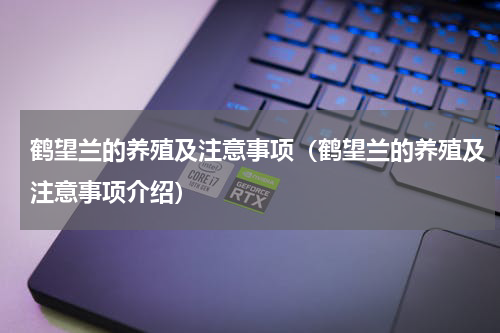 鹤望兰的养殖及注意事项（鹤望兰的养殖及注意事项介绍）