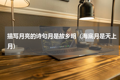 描写月亮的诗句月是故乡明（海底月是天上月）